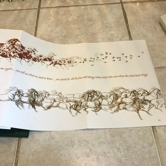 NEW Bev Doolittle New Magic Hardcover Book NIB Original Artwork Collector's Ed. - Picture 9 of 14